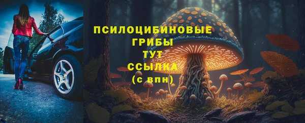 дурь Армянск
