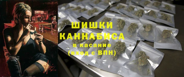 хмурый Аркадак