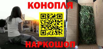 винт Тара