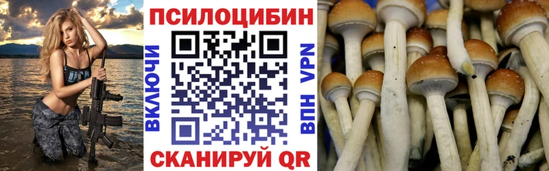 Псилоцибиновые грибы GOLDEN TEACHER  Саров 