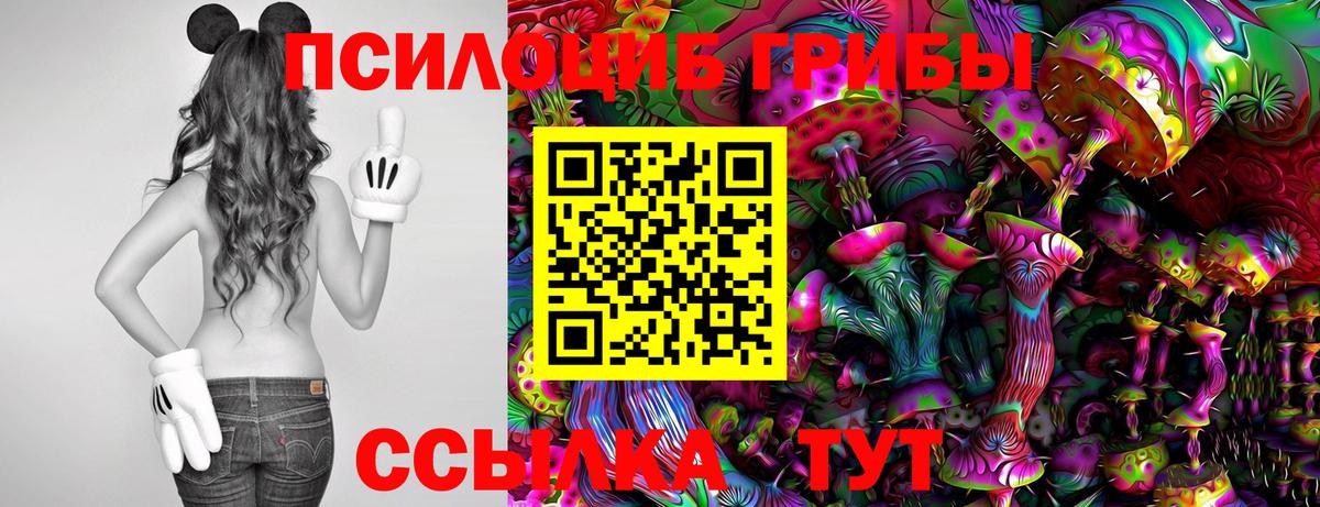 Галлюциногенные грибы GOLDEN TEACHER  Вход с VPN  Саров 