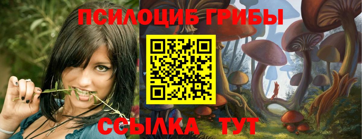 Галлюциногенные грибы прущие грибы Саров